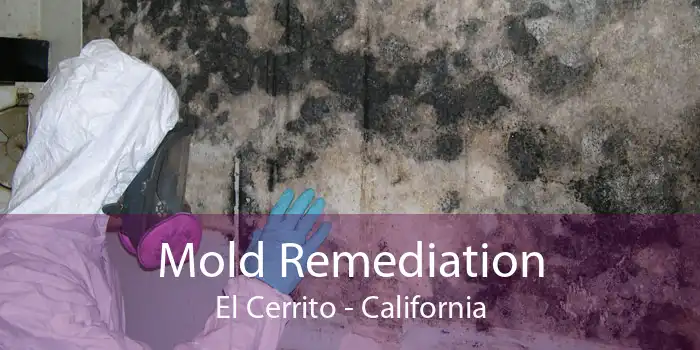Mold Remediation El Cerrito - California