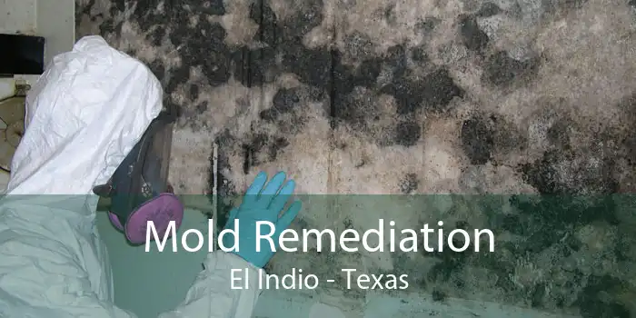 Mold Remediation El Indio - Texas