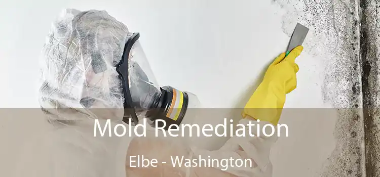 Mold Remediation Elbe - Washington