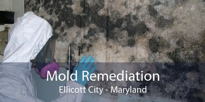 Mold Remediation Ellicott City - Maryland