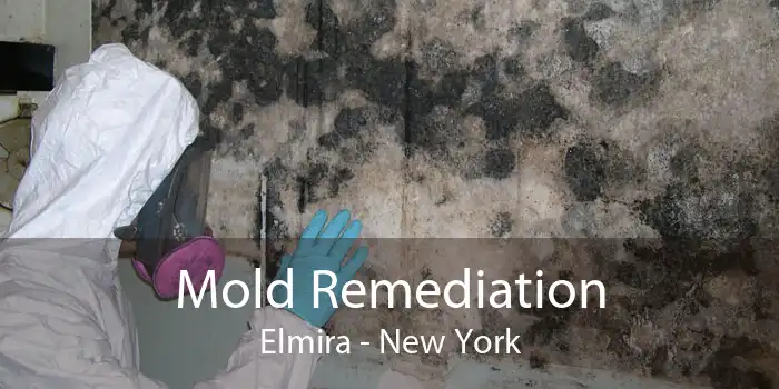Mold Remediation Elmira - New York