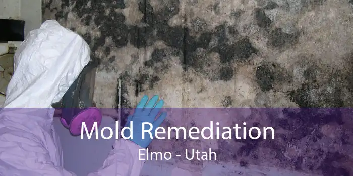 Mold Remediation Elmo - Utah