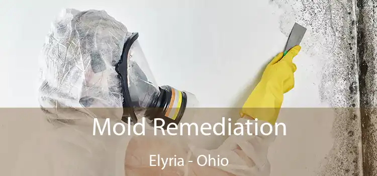 Mold Remediation Elyria - Ohio