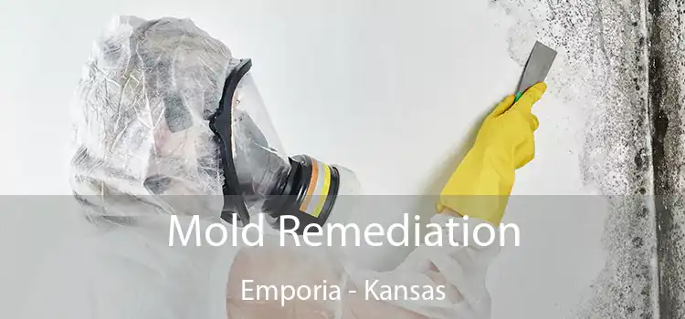 Mold Remediation Emporia - Kansas