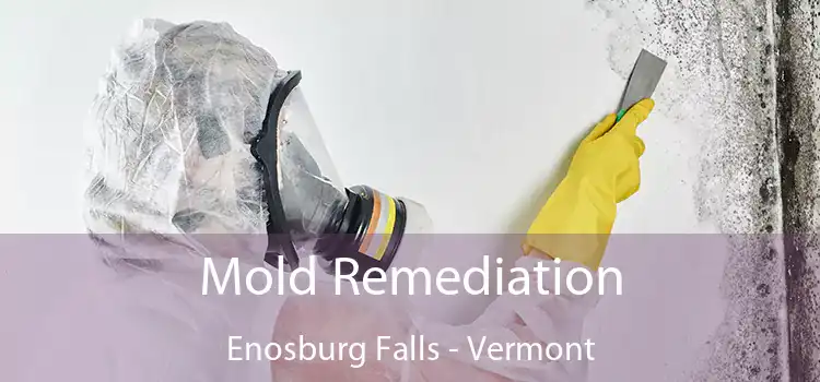 Mold Remediation Enosburg Falls - Vermont