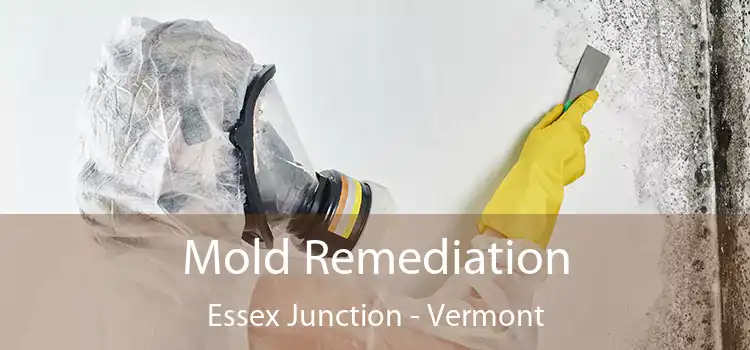 Mold Remediation Essex Junction - Vermont