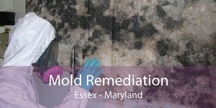 Mold Remediation Essex - Maryland