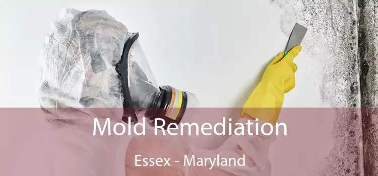 Mold Remediation Essex - Maryland