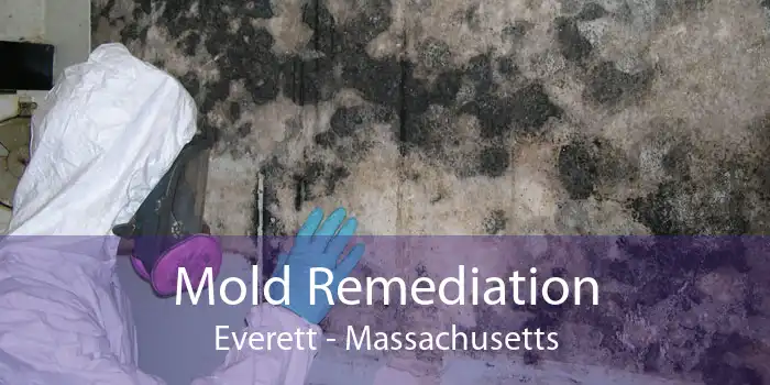 Mold Remediation Everett - Massachusetts