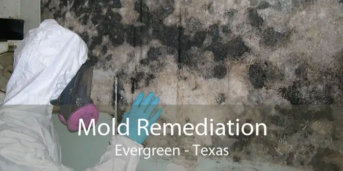 Mold Remediation Evergreen - Texas