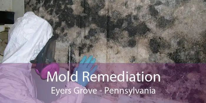 Mold Remediation Eyers Grove - Pennsylvania