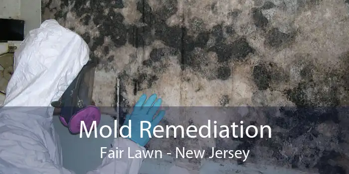 Mold Remediation Fair Lawn - New Jersey