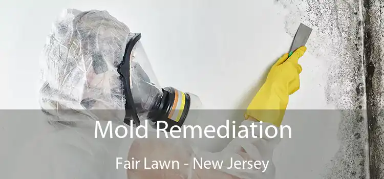 Mold Remediation Fair Lawn - New Jersey