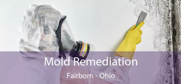 Mold Remediation Fairborn - Ohio