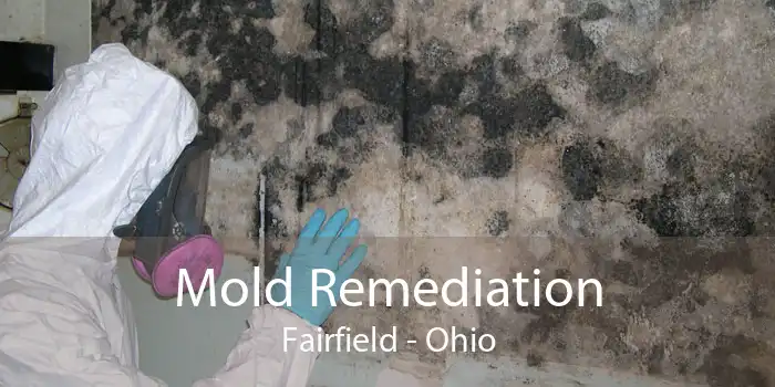 Mold Remediation Fairfield - Ohio