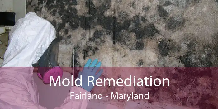Mold Remediation Fairland - Maryland