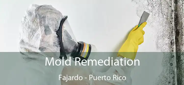 Mold Remediation Fajardo - Puerto Rico