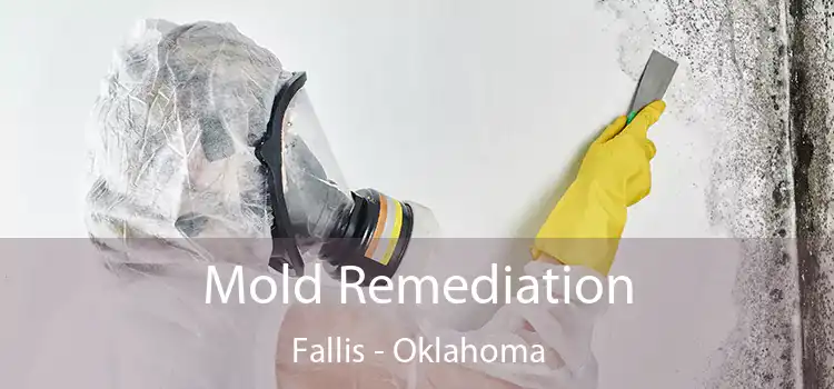 Mold Remediation Fallis - Oklahoma