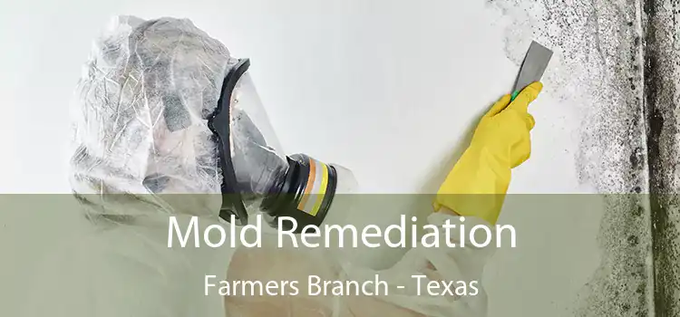 Mold Remediation Farmers Branch - Texas