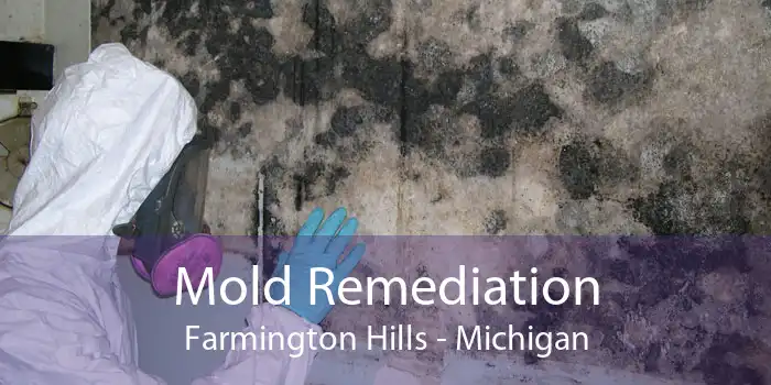 Mold Remediation Farmington Hills - Michigan
