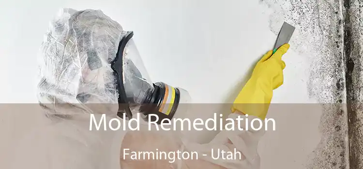 Mold Remediation Farmington - Utah