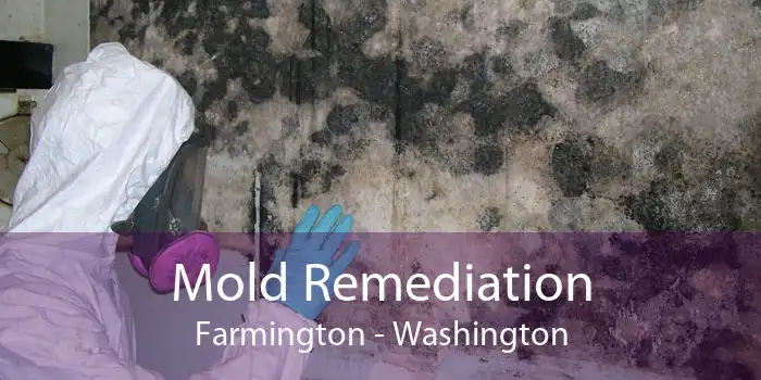 Mold Remediation Farmington - Washington
