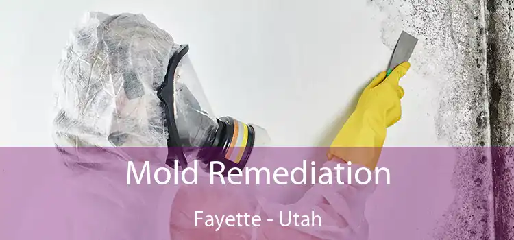 Mold Remediation Fayette - Utah