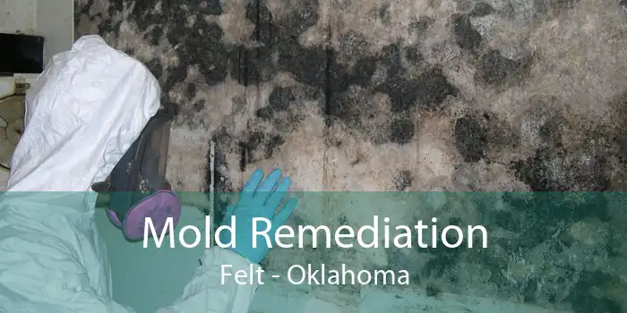 Mold Remediation Felt - Oklahoma