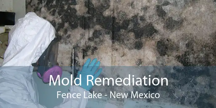 Mold Remediation Fence Lake - New Mexico