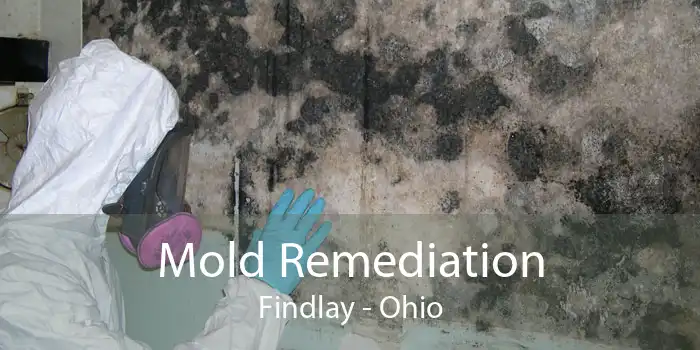 Mold Remediation Findlay - Ohio