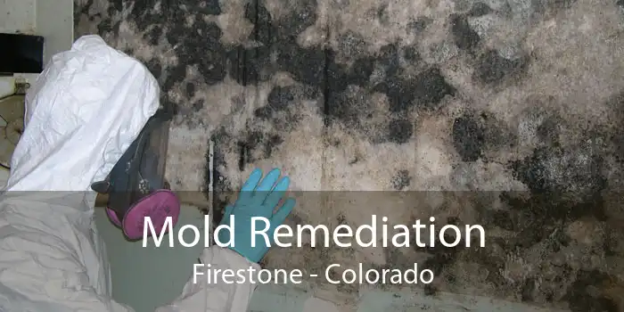 Mold Remediation Firestone - Colorado