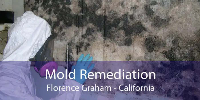 Mold Remediation Florence Graham - California