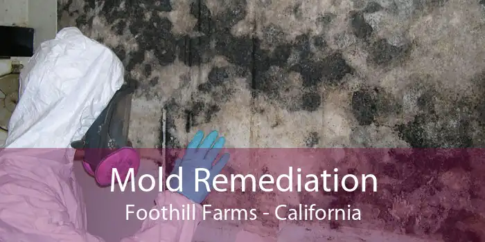 Mold Remediation Foothill Farms - California