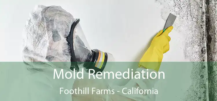 Mold Remediation Foothill Farms - California