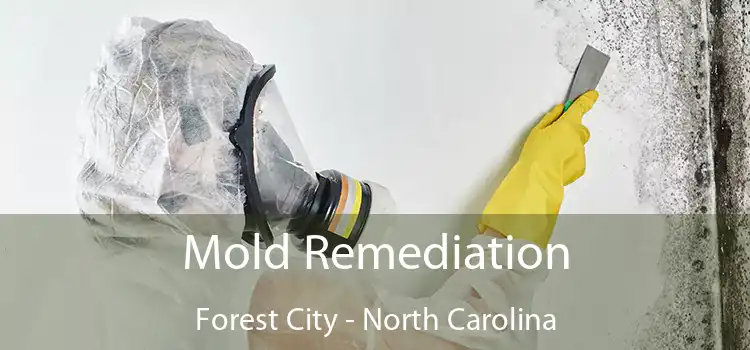 Mold Remediation Forest City - North Carolina