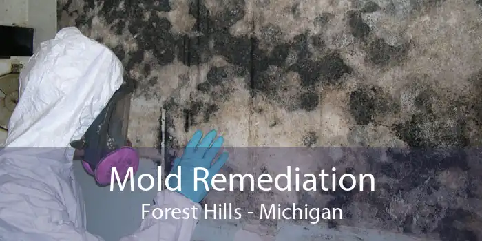 Mold Remediation Forest Hills - Michigan