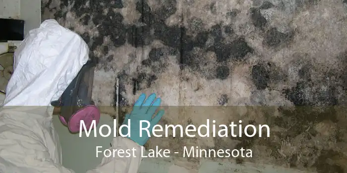 Mold Remediation Forest Lake - Minnesota