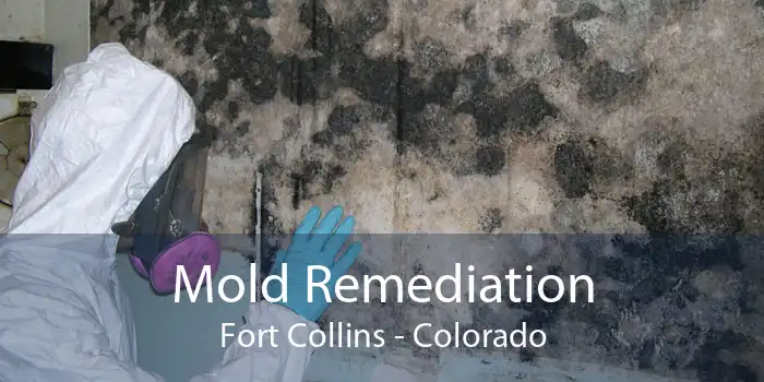 Mold Remediation Fort Collins - Colorado