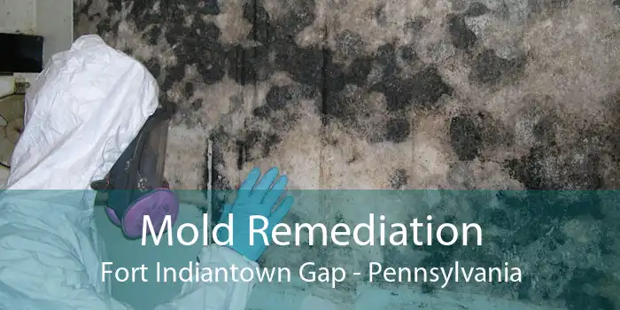 Mold Remediation Fort Indiantown Gap - Pennsylvania