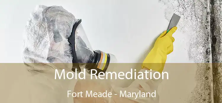 Mold Remediation Fort Meade - Maryland