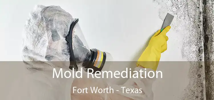 Mold Remediation Fort Worth - Texas