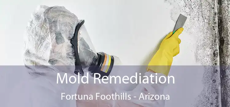 Mold Remediation Fortuna Foothills - Arizona