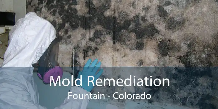Mold Remediation Fountain - Colorado