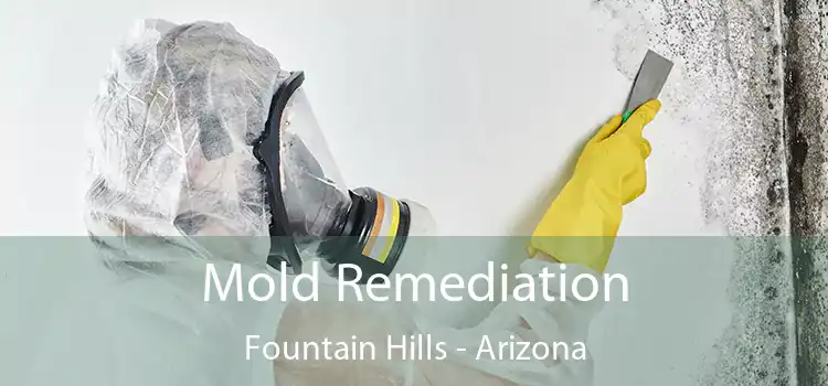 Mold Remediation Fountain Hills - Arizona