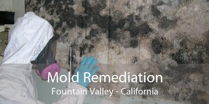 Mold Remediation Fountain Valley - California