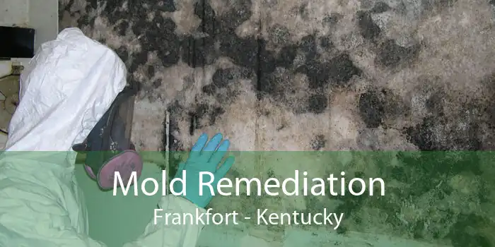 Mold Remediation Frankfort - Kentucky