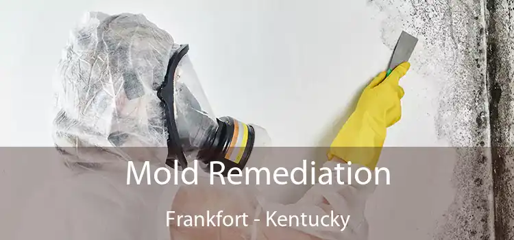 Mold Remediation Frankfort - Kentucky