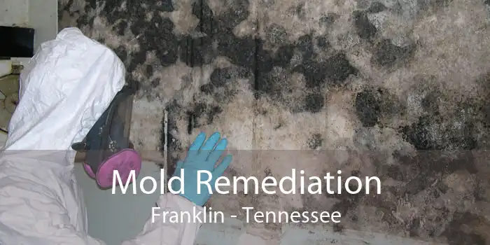 Mold Remediation Franklin - Tennessee