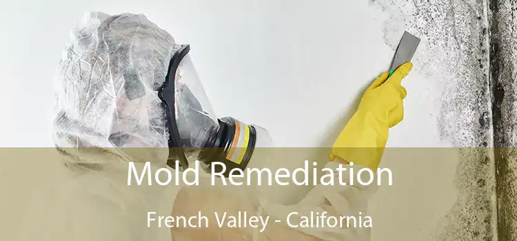 Mold Remediation French Valley - California