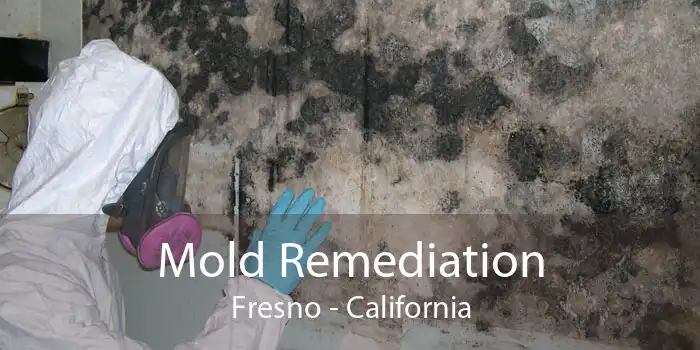 Mold Remediation Fresno - California
